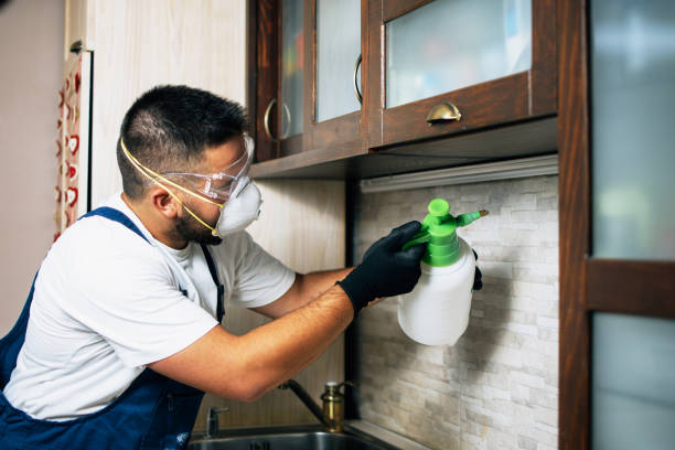 Best Pest Control for Homes  in Dana Point, CA