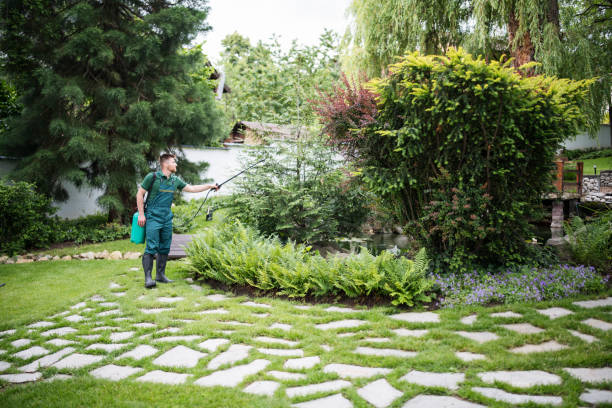 Pest Control for Restaurants in Dana Point, CA